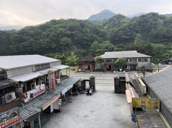 2026_0412 鐘萼木賞花 - 淡蘭國寶樹3035265