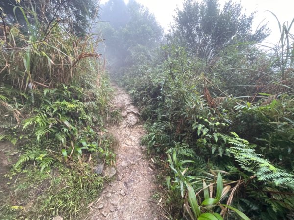 五分山的風雨2017995