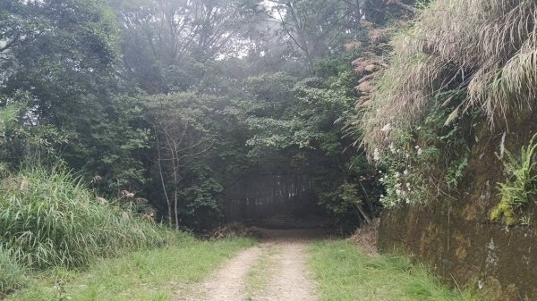 20251010 大雪山國家森林遊樂區 - 船型山林道 登 烏石坑山2911132