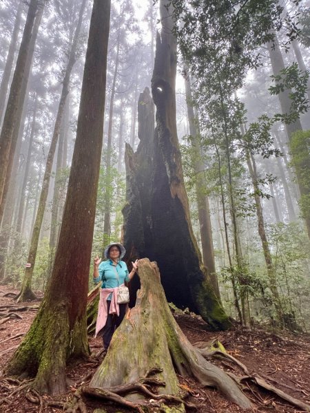 清泉 雪霸農場 野馬瞰山2925915