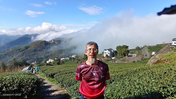 阿里山 #隙頂二延平 #頂石棹 #觀音圈 #雲海 #琉璃光 #雲瀑 #霧虹 11/172649802