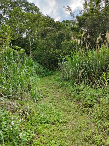 2024.03.24 飛鳳古道2908474