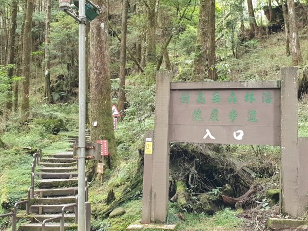 對高岳步道1053516