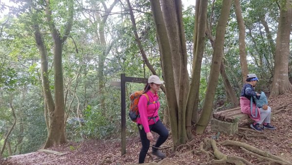(姨婆趴趴走)第四十七集:新北土城大暖坑山等諸峰攀登連走2738753