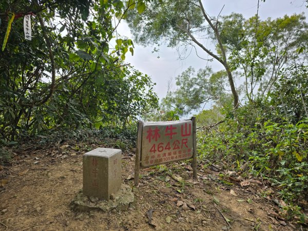 林牛山+聚興山2709935