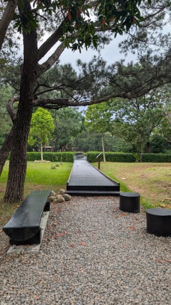 大湳森林公園2879735