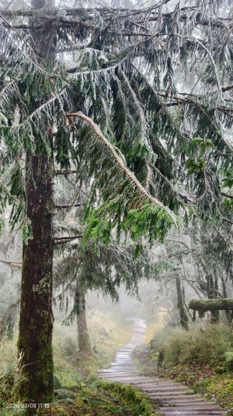#霧淞 #雲海 #雲瀑 #霧虹 #太平山 #望洋山 #觀雲步道 #翠峰道路  2/82995322