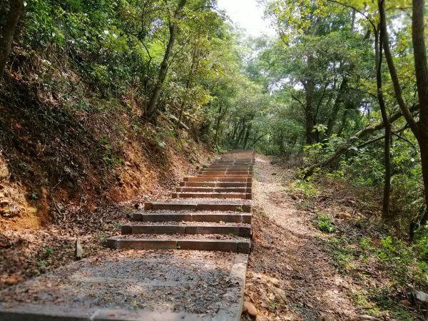 八卦山山脈最高峰。編號48小百岳 橫山754279