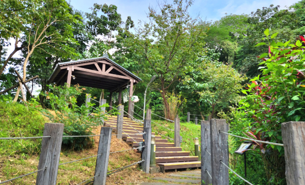 大坑外股古道，萬福生態公園，阿柔里公館後步道