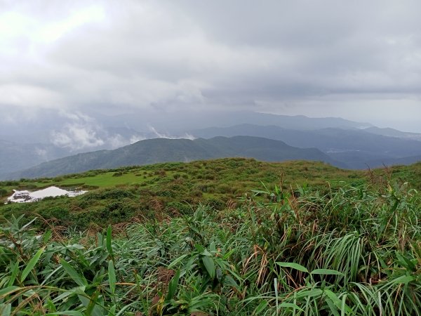 【新北-臺灣百大必訪步道】灣坑頭山→福德山→桃源谷草嶺線→大溪線→蕃薯寮山→大溪火車站1524572