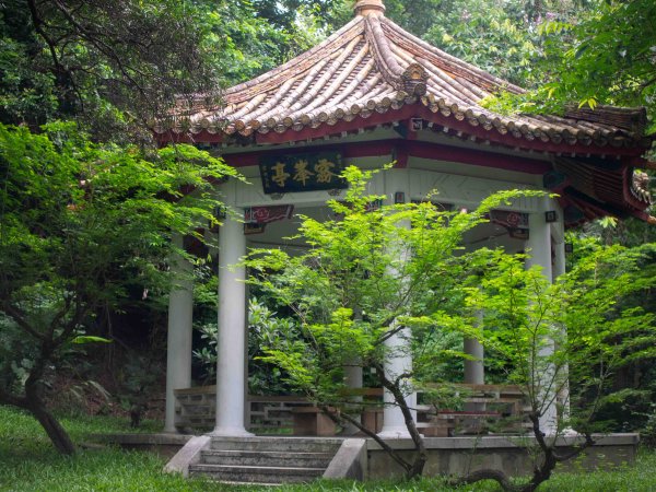 阿罩霧山、中心瓏步道3085674