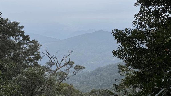 20250101內鳥嘴山北得拉曼步道2681560