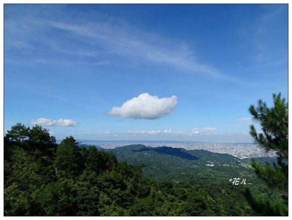 台中/大坑4號步道634925