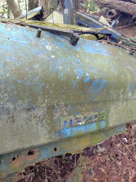 大棟山系南段 水利古道西口 上 竹高崙山 連走 鳥子嶺 坑仔內山 大崖山 下 龍目井農場2953158