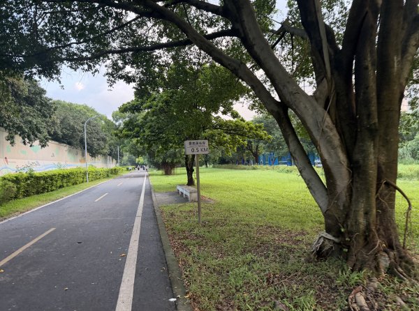 [2026臺北健走趣-09/50] 2026_0806_景美河濱公園3110835