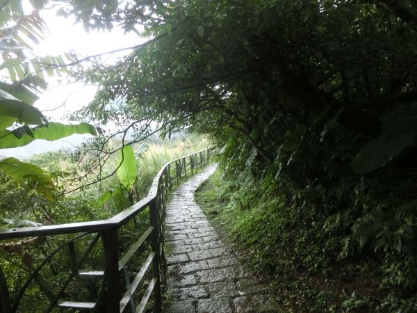 飛龍步道．樟湖步道．樟樹步道275873