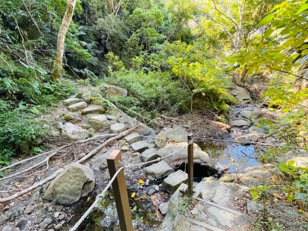 1150123里龍山2986672