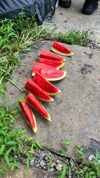 臺北大縱走第一段_關渡至二子坪2853782