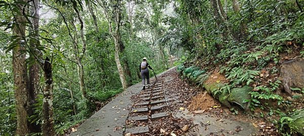 2025/05/25_茶園坪山2796580