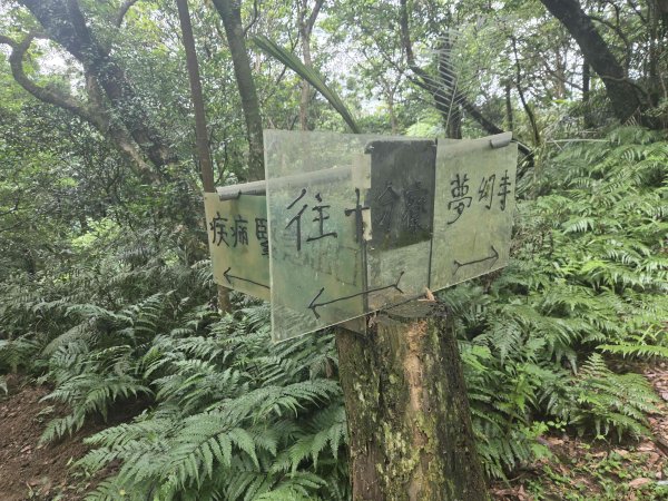 20260616新路尾古道O型3075944