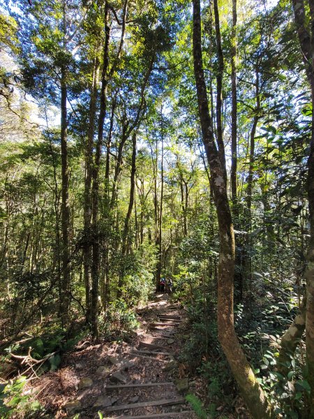 鳶嘴稍來山國家步道2380328