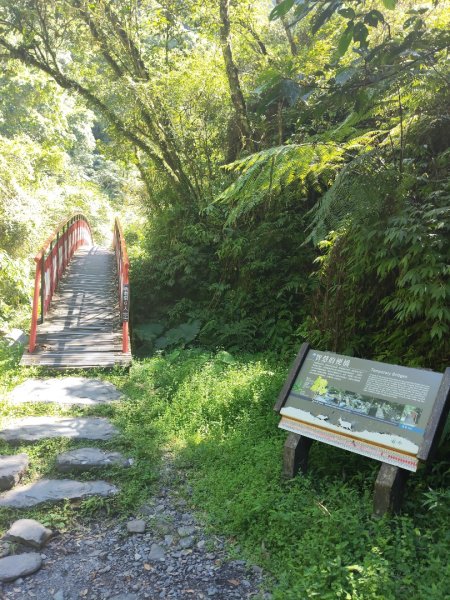 九寮溪自然步道2867196