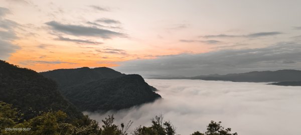#翡翠水庫壩頂 #月亮 #日出 #雲海 #藍腹鷴母鳥 5/8&133050273