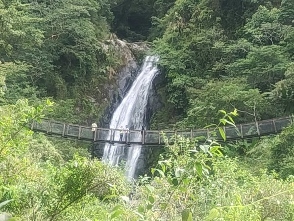1150728新寮瀑布步道3096876