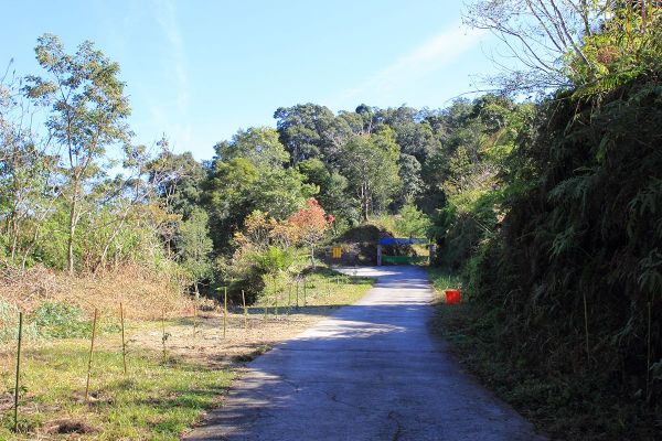 櫻花公園→藤枝山來回275311