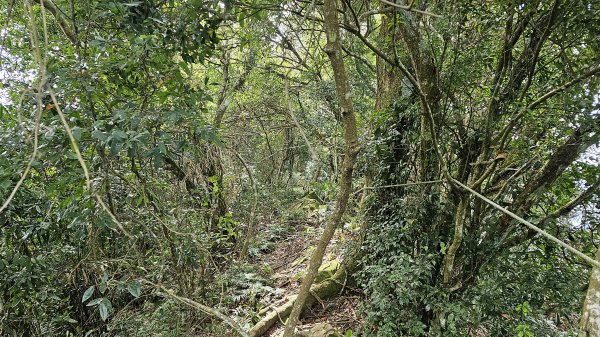 暗影山三進三出2366550