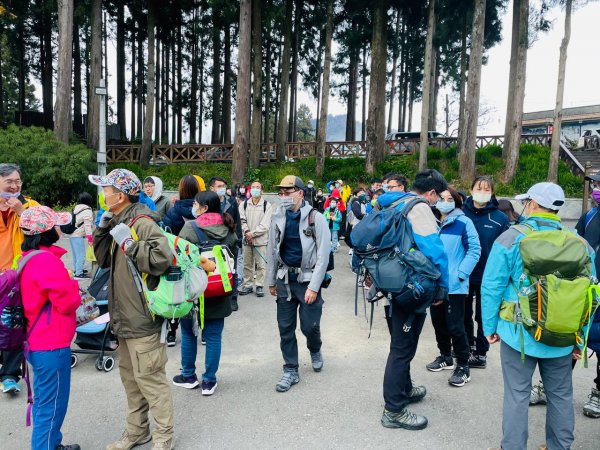 阿里山 水山巨木步道1741728