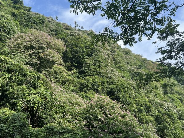 2022.10.15 阿拔泉山、獨立山、獨立山車站、樟腦寮車站、隙頂1953792