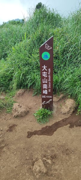 臺北大縱走第二段：二子坪至小油坑2827695