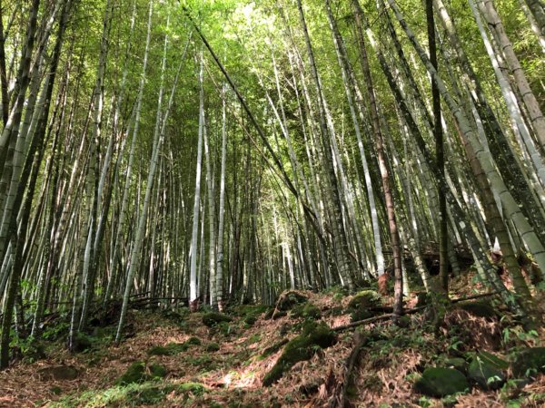 嘉義水社寮走石盤巃山圓潭巃山四天皇山1022466