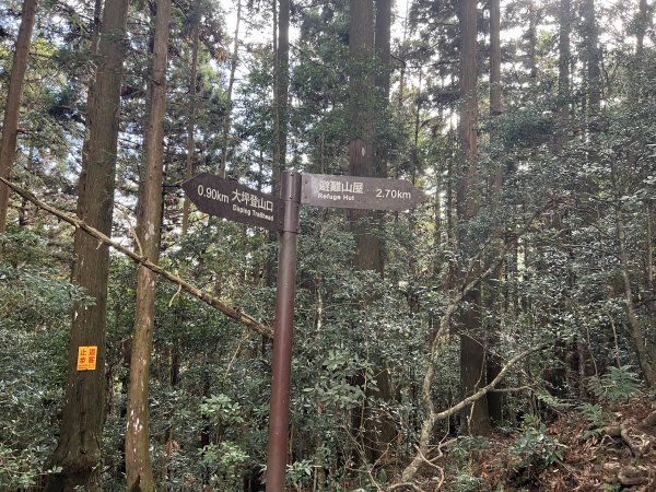 加里山 大坪登山口 杜鵑嶺 加里山P形1900983