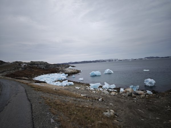 [紐約馬之行-48] 2025_1108 努克環狀步道 5/52951683