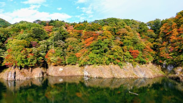 栃木縣紅葉谷大吊橋2930311