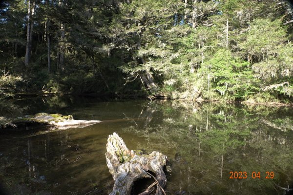 南投 仁愛 武法奈尾山2133778