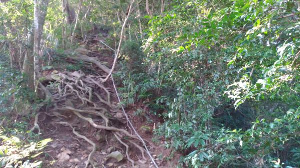 唐麻丹山+蝴蝶谷瀑布O型縱走374538