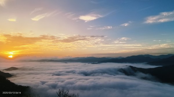 #翡翠水庫 #琉璃光 #日出 #雲海  #藍腹鷴 3/132734676
