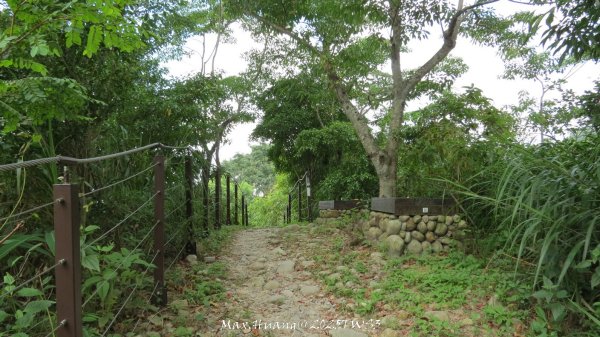 《南投》峰峰相連｜草屯九九峰森林步道O型202509062879302