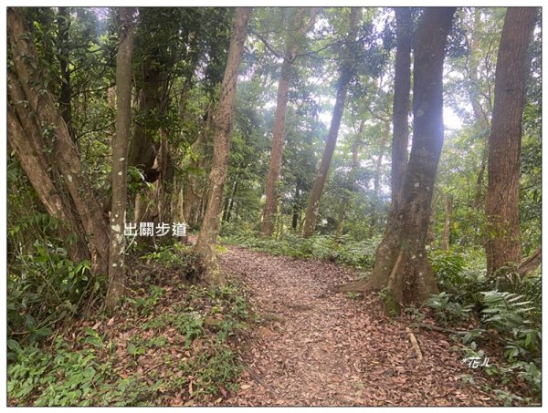 菜壽凸、薑麻園出關古道2797008