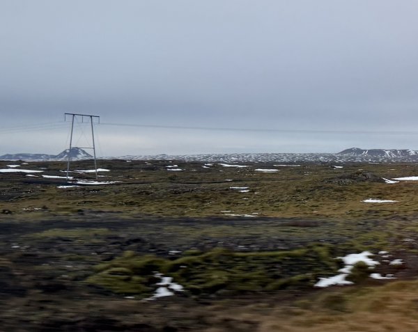 [紐約馬之行-50] 2025_1109~11 回到冰島/美國2952677