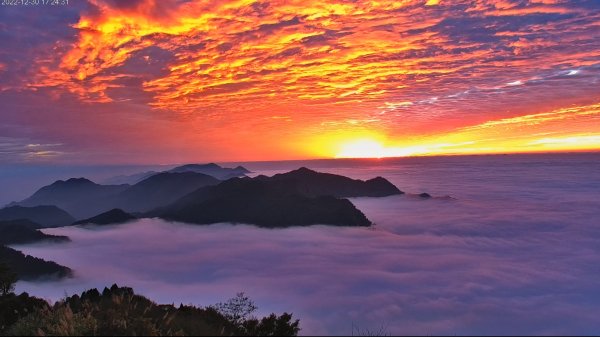 阿里山雲瀑&雲海/富士山直播即時視訊1975850