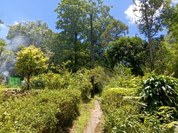 平溪區嶺腳步道+望古坑保甲路+嶺腳寮山+望古賞瀑步道(瀑布)+望古坑古道2825912