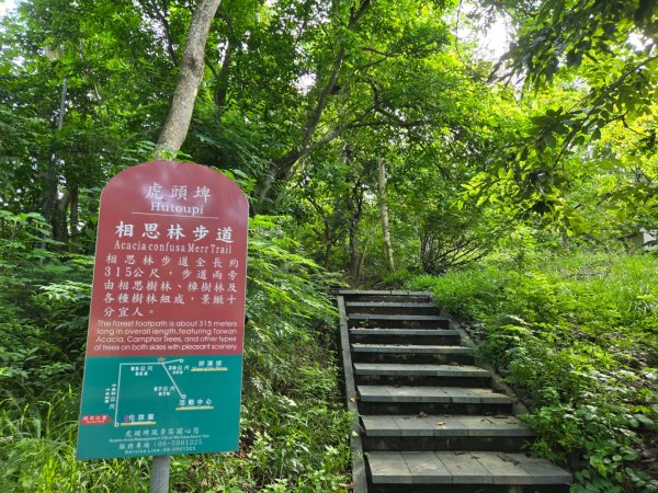 虎頭埤環湖步道（新化虎頭山）2890921