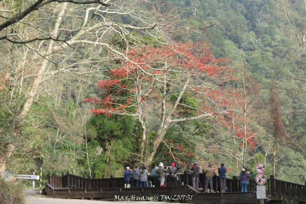 《台中》谷關七雄｜初登屋我尾山201703192890472