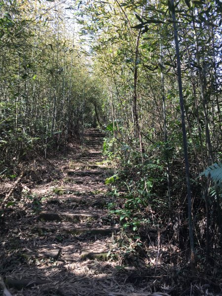 20210116-關刀山1238214