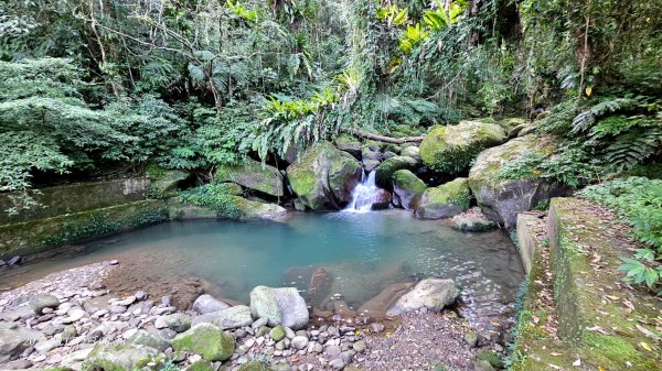 鹿母潭古道上竹坑山大O走2334623