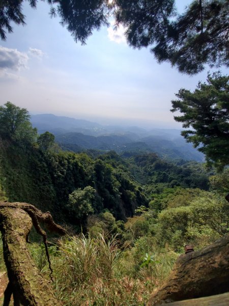 台中大坑頭嵙山698001